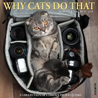Book Cover for Why Cats Do That 2024 12 X 12 Wall Calendar by Willow Creek Press