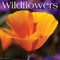 Book Cover for Wildflowers 2024 12 X 12 Wall Calendar by Willow Creek Press