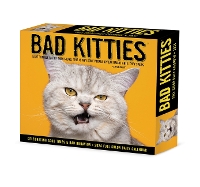 Book Cover for Bad Kitties 2024 6.2 X 5.4 Box Calendar by Willow Creek Press