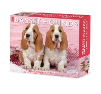 Book Cover for Basset Hounds 2024 6.2 X 5.4 Box Calendar by Willow Creek Press