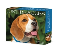 Book Cover for Beagles 2024 6.2 X 5.4 Box Calendar by Willow Creek Press