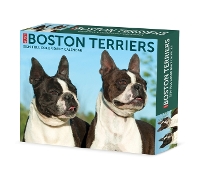 Book Cover for Boston Terriers 2024 6.2 X 5.4 Box Calendar by Willow Creek Press