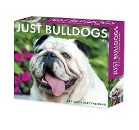 Book Cover for Bulldogs 2024 6.2 X 5.4 Box Calendar by Willow Creek Press