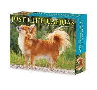 Book Cover for Chihuahuas 2024 6.2 X 5.4 Box Calendar by Willow Creek Press