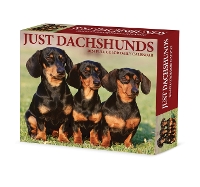 Book Cover for Dachshunds 2024 6.2 X 5.4 Box Calendar by Willow Creek Press