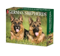 Book Cover for German Shepherds 2024 6.2 X 5.4 Box Calendar by Willow Creek Press