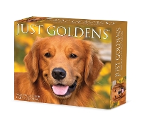 Book Cover for Goldens 2024 6.2 X 5.4 Box Calendar by Willow Creek Press