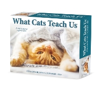 Book Cover for What Cats Teach Us 2024 6.2 X 5.4 Box Calendar by Willow Creek Press