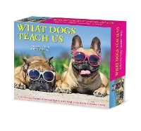 Book Cover for What Dogs Teach Us 2024 6.2 X 5.4 Box Calendar by Willow Creek Press