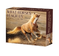 Book Cover for What Horses Teach Us 2024 6.2 X 5.4 Box Calendar by Willow Creek Press