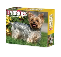 Book Cover for Yorkies 2024 6.2 X 5.4 Box Calendar by Willow Creek Press