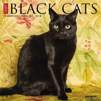 Book Cover for Just Black Cats 2024 7 X 7 Mini Wall Calendar by Willow Creek Press