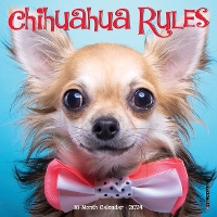 Book Cover for Chihuahua Rules 2024 7 X 7 Mini Wall Calendar by Willow Creek Press