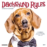 Book Cover for Dachshund Rules 2024 7 X 7 Mini Wall Calendar by Willow Creek Press