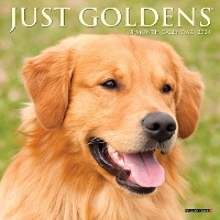 Book Cover for Just Goldens 2024 7 X 7 Mini Wall Calendar by Willow Creek Press