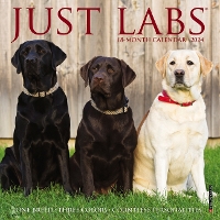 Book Cover for Just Labs 2024 7 X 7 Mini Wall Calendar by Willow Creek Press