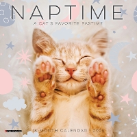 Book Cover for Naptime (Cats) 2024 7 X 7 Mini Wall Calendar by Willow Creek Press