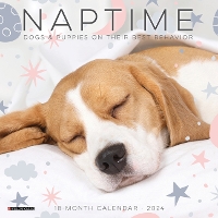 Book Cover for Naptime (Dogs) 2024 7 X 7 Mini Wall Calendar by Willow Creek Press