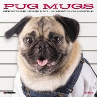 Book Cover for Pug Mugs 2024 7 X 7 Mini Wall Calendar by Willow Creek Press