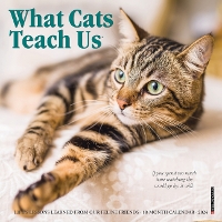 Book Cover for What Cats Teach Us 2024 7 X 7 Mini Wall Calendar by Willow Creek Press