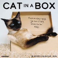 Book Cover for Cat in a Box 2024 12 X 12 Wall Calendar by Willow Creek Press