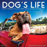 Book Cover for Dog's Life 2024 12 X 12 Wall Calendar by Kaylee Greer