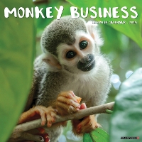 Book Cover for Monkey Business 2024 12 X 12 Wall Calendar by Willow Creek Press