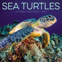 Book Cover for Sea Turtles 2024 12 X 12 Wall Calendar by Willow Creek Press