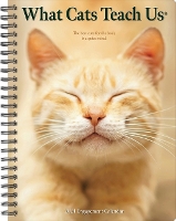 Book Cover for What Cats Teach Us 2024 6.5 X 8.5 Engagement Calendar by Willow Creek Press