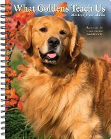 Book Cover for What Goldens Teach Us 2024 6.5 X 8.5 Engagement Calendar by Willow Creek Press