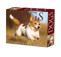 Book Cover for Dogs 2024 6.2 X 5.4 Box Calendar by Willow Creek Press