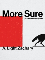 Book Cover for More Sure by A. Light Zachary