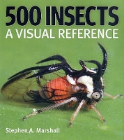 Book Cover for 500 Insects by Stephen A. Marshall