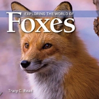 Book Cover for Exploring the World of Foxes by Tracy C. Read