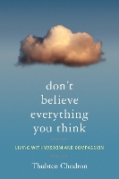 Book Cover for Don't Believe Everything You Think by Thubten Chodron