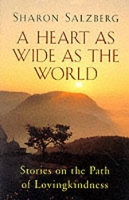 Book Cover for A Heart as Wide as the World by Sharon Salzberg