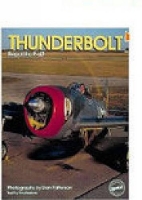 Book Cover for Thunderbolt by Paul Perkins