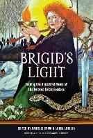 Book Cover for Brigid'S Light by Judika (Judika Illes) Illes