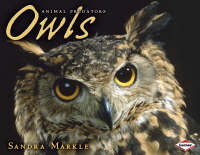 Book Cover for Owls by Sandra Markle