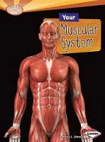 Book Cover for Your Muscular System by Rebecca L Johnson