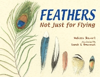 Book Cover for Feathers by Melissa Stewart