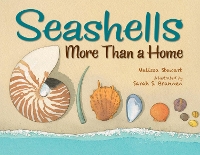 Book Cover for Seashells by Melissa Stewart, Sarah Brannen