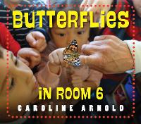 Book Cover for Butterflies in Room 6 by Caroline Arnold