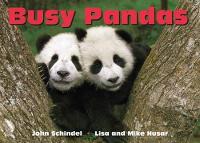 Book Cover for Busy Pandas by John Schindel, Lisa Husar, Mike Husar