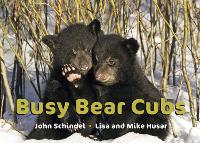 Book Cover for Busy Bear Cubs by John Schindel, Lisa Husar, Mike Husar