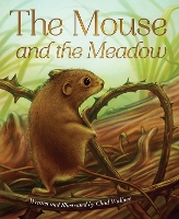 Book Cover for The Mouse and the Meadow by Chad Wallace