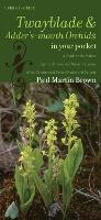 Book Cover for Twayblades and Adder's-mouth Orchids in Your Pocket by Paul Martin Brown
