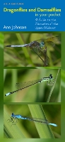 Book Cover for Dragonflies and Damselflies in Your Pocket by Ann Johnson