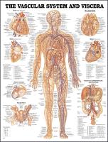 Book Cover for Vascular System and Viscera Anatomical Chart by Anatomical Chart Company