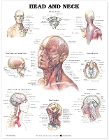 Book Cover for Head and Neck Anatomical Chart by Anatomical Chart Company